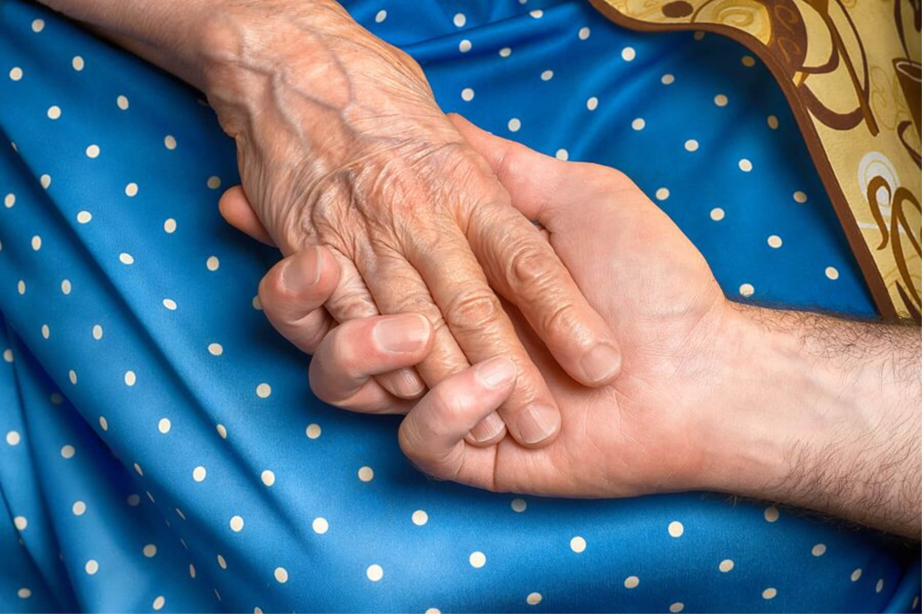 Руки пожилого человека фото. Первому старшему руку подаем