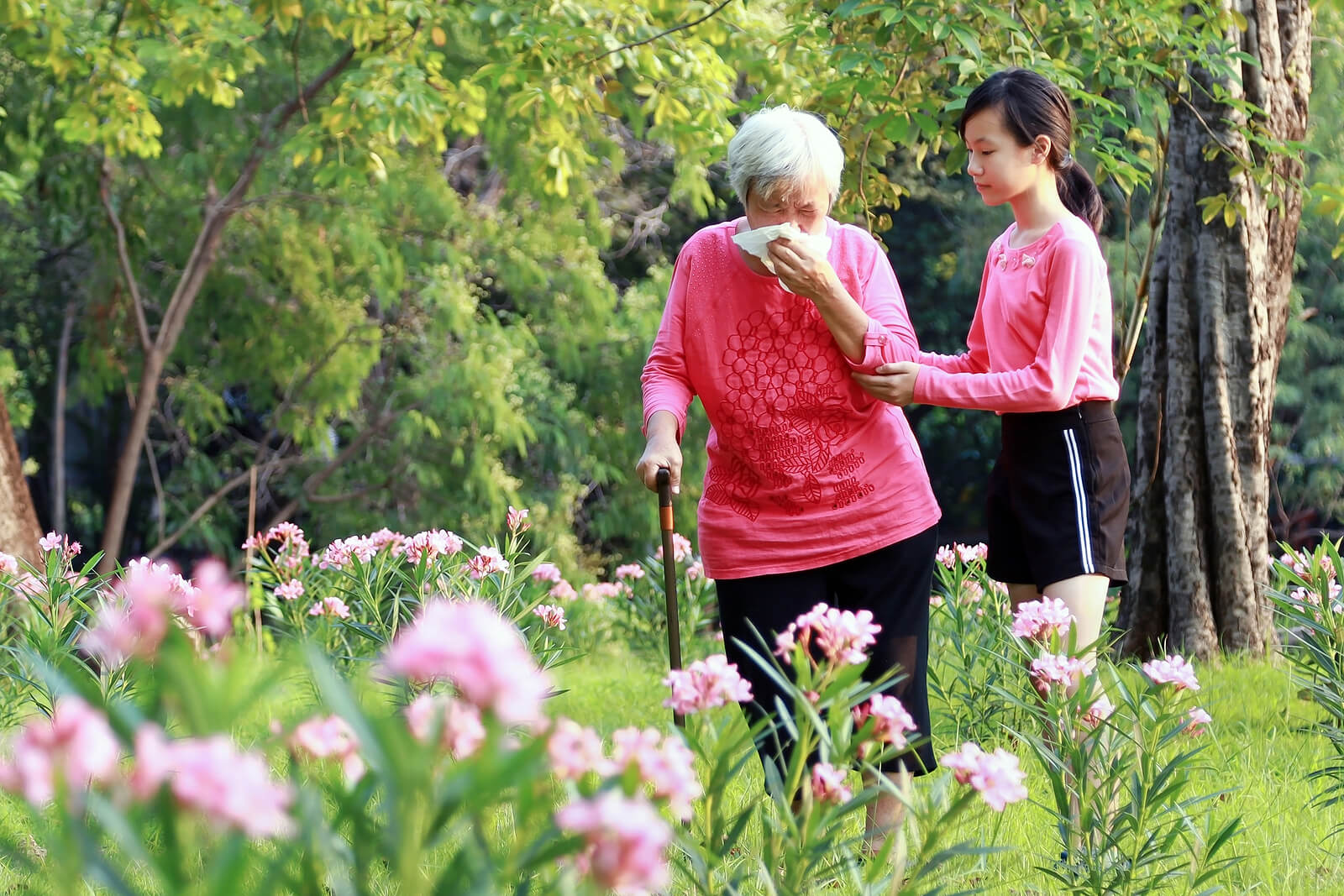 Elder Care in Bay Minette AL: Allergies